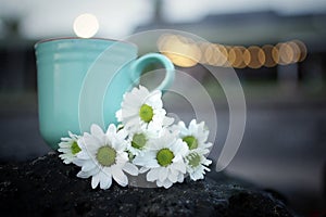 Coffee cup or tea cup with bouquet of beautiful white daisy flowers blossom on sea rock, on bokeh light background.