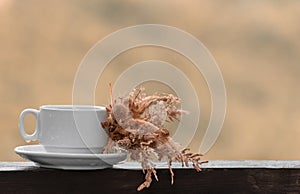 Cup of coffee or tea, dried flowers on balcony of country house, background of autumn garden, copy space. Fall season