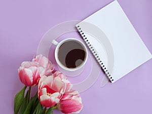 Cup of coffee. tulip flower celebration minimal birthday on colored background romantic sprin