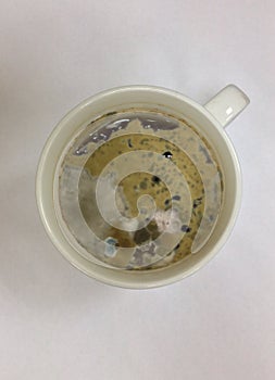 Cup of coffee turned mouldy.
