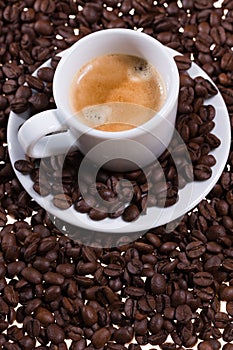 Cup of coffee isolated on white photo