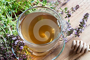 A cup of creeping thyme thymus serpyllum tea