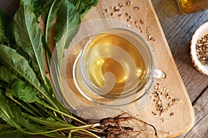 A cup of dandelion root tea, top view