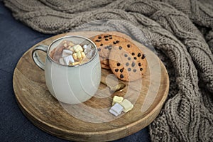 Cup of delicious hot cocoa with marshmallow and cookies