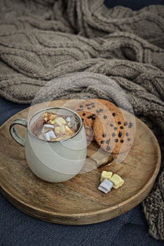 Cup of delicious hot cocoa with marshmallow and cookies