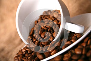 Cup, dish, beans of coffee