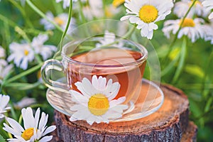 Cup of fragrant chamomile tea tea,