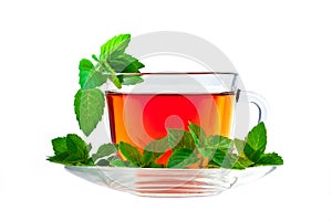 Cup of fragrant tea with fresh leaves of green tea