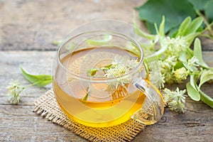 Cup of fresh herbal tea with blooming Tilia linden, basswood photo