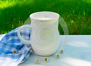 A cup of fresh milk and white daisies on a background of green grass.