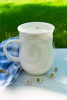 A cup of fresh milk and white daisies on a background of green grass.