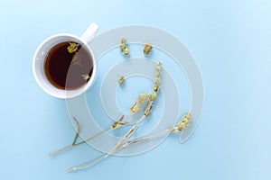 A cup of freshly brewed mountain tea with dried plant branches, on blue background