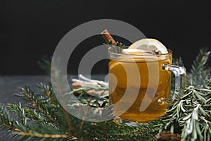 1 Cup fruit tea with Apple and lemon, cinnamon, spruce branches, rosemary on a black background