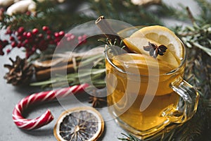 1 Cup fruit tea with Apple and lemon, cinnamon, star anise, fir branches, rosemary, star anise, , Lollipop, red berries on black