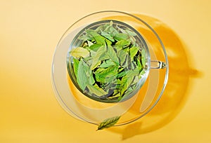 Cup full of leaves, freshness