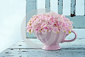 Cup full of pink hydrangea on vintage chair