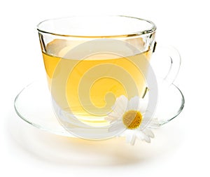 Cup of green tea with chamomile flower