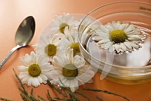 A cup of green tea with chamomile, next to a teaspoon and fresh chamomile flowers on a bright orange background. Selective focus