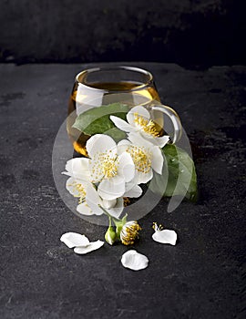 Cup of green tea and Jasmine flowers on a black background. Herbal medicine