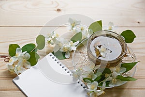 A cup of green tea and Jasmine flowers on a white background top view
