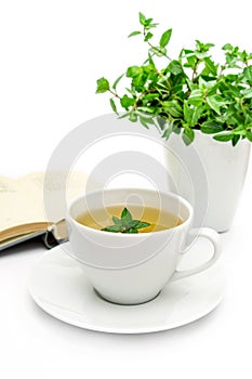 Cup of green tea with mint, close-up, selective focus