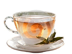 Cup of green tea with mint on a white background Isolated