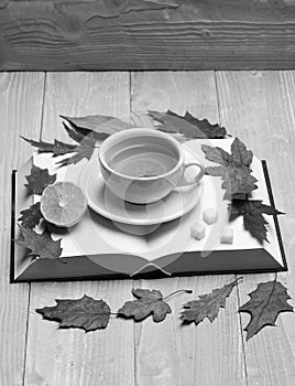 Cup of green tea with slice of lemon. Tea cup on blank book pages and leaves. Hot beverage