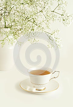 Cup of green tea on white background.