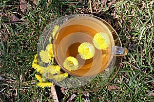 Cup of green tea with yellow flowers. Useful anti-inflammatory herbal tea from medicinal plants in glass cup on green grass