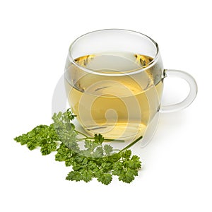 Cup of healthy chervil tea