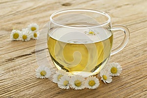 Cup of healthy daisy tea