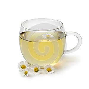 Cup of healthy daisy tea