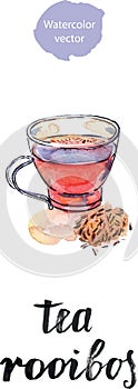 Cup of healthy and tasty traditional herbal rooibos red beverage