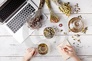 Cup of healthy tea, honey, healing herbs, herbal tea assortment and berries on table. Top view. Herbal medicine.