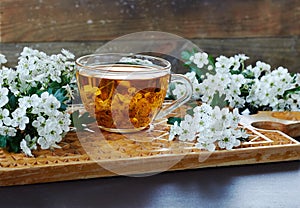 A cup of herbal floral tea from buds of haw thorn tree