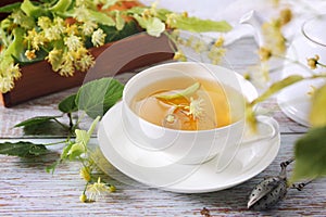 Cup of herbal linden tea with linden flowers