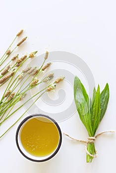 A cup of herbal tea against cough with fresh ribwort plantain leaves.Hebal medicine. Minimalism. Beautiful spring wildflowers .