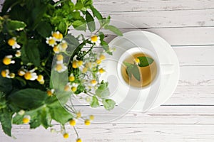 Cup of herbal tea and bouquet with mint and medicinal chamomile. Concept of healthy and dietary nutrition
