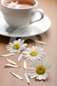 Cup of herbal tea and camomile flowers