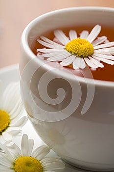 Cup of herbal tea and camomile flowers