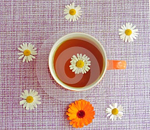 Cup of herbal tea with chamomile flowers. Healthy natural chamomile herbal.Herbal tea on a white wooden background