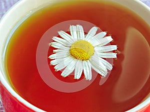 Cup of herbal tea with chamomile flowers. Healthy natural chamomile herbal.Herbal tea on a white wooden background