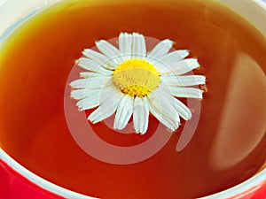 Cup of herbal tea with chamomile flowers. Healthy natural chamomile herbal.Herbal tea on a white wooden background