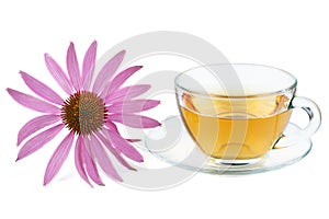 Cup of herbal tea and echinacea flower isolated