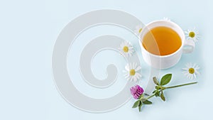 Cup of herbal tea with flowers chamomile on blue background, with copy space for text. Organic floral, green asian tea. Herbal
