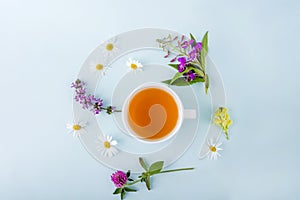 Cup of herbal tea with flowers chamomile on blue background. Organic floral, green asian tea. Herbal medicine at seasonal diseases