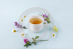 Cup of herbal tea with flowers chamomile on blue background. Organic floral, green asian tea. Herbal medicine at seasonal diseases