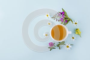 Cup of herbal tea with flowers chamomile on blue background. Organic floral, green asian tea. Herbal medicine at seasonal diseases