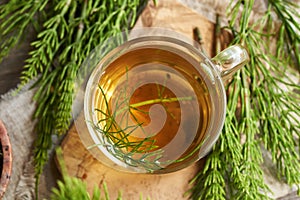 A cup of herbal tea with fresh horsetail twigs, top view. Medicinal herb