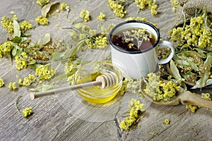 Tazza da erbaceo tè. medicinale erbe aromatiche.. medicinale un Freddo 